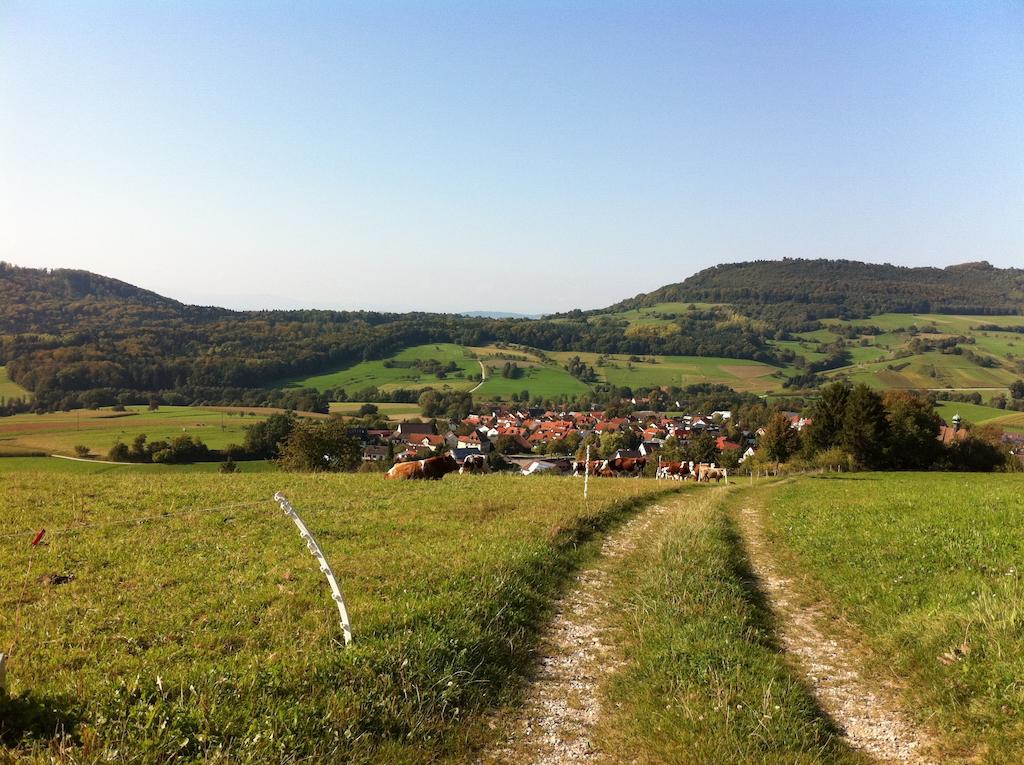 Luxus Appartement Schwarzwald Bei Freiburg 4 Schlafzimmer Sauna Solden Bilik gambar
