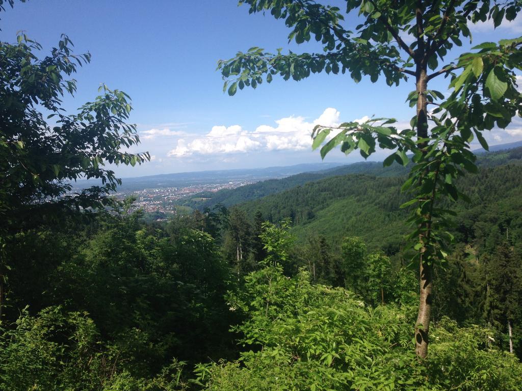 Luxus Appartement Schwarzwald Bei Freiburg 4 Schlafzimmer Sauna Solden Luaran gambar