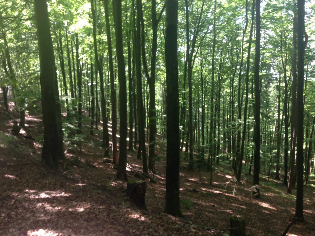 Luxus Appartement Schwarzwald Bei Freiburg 4 Schlafzimmer Sauna Solden Luaran gambar